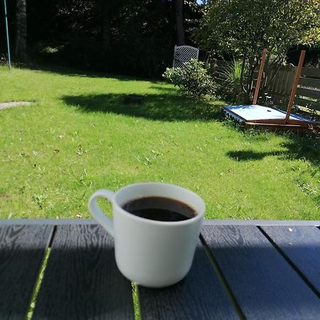 Ferienhaus Hoher Weg - Urlaub, Wandern, Downhill Und Workation Am Nationalpark Harz سانكت اندرياسبرغ المظهر الخارجي الصورة