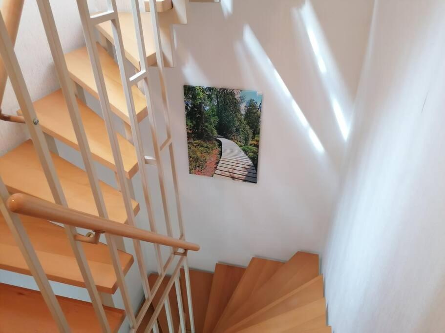 Ferienhaus Hoher Weg - Urlaub, Wandern, Downhill Und Workation Am Nationalpark Harz سانكت اندرياسبرغ المظهر الخارجي الصورة