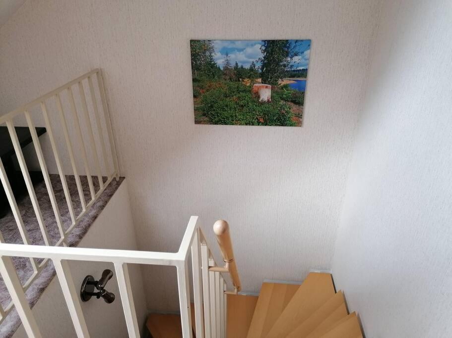 Ferienhaus Hoher Weg - Urlaub, Wandern, Downhill Und Workation Am Nationalpark Harz سانكت اندرياسبرغ المظهر الخارجي الصورة